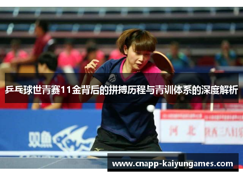 乒乓球世青赛11金背后的拼搏历程与青训体系的深度解析