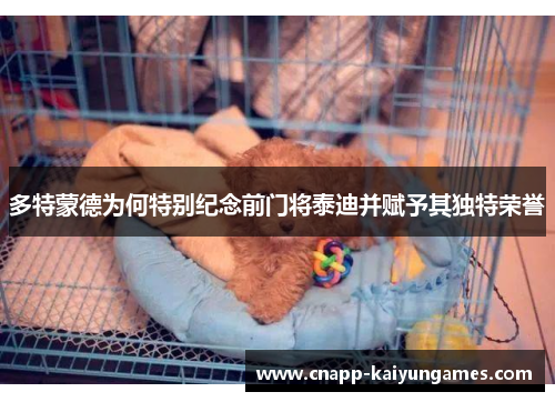 多特蒙德为何特别纪念前门将泰迪并赋予其独特荣誉