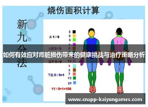 如何有效应对肾脏损伤带来的健康挑战与治疗策略分析