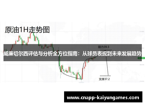 威廉切尔西评估与分析全方位指南：从球员表现到未来发展趋势