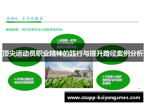 顶尖运动员职业精神的践行与提升路径案例分析